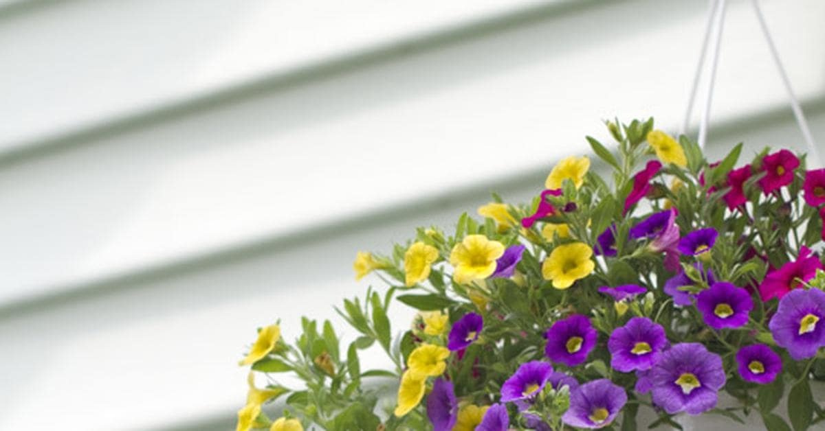 image of vinyl siding image of vinyl siding